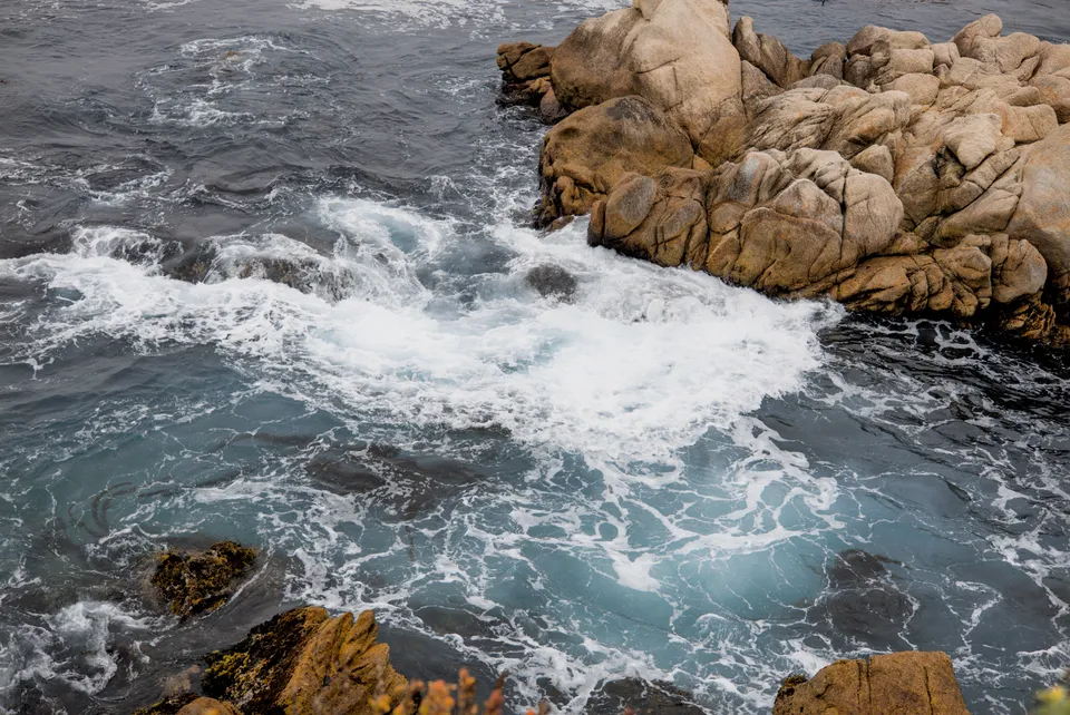 Rock / Water, Point Lobos